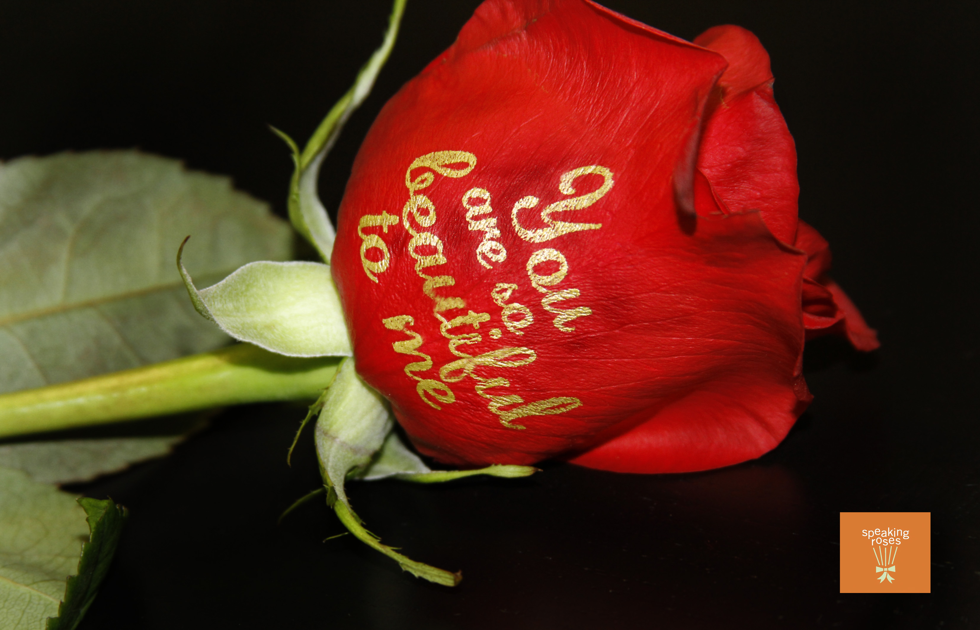 Speaking Roses