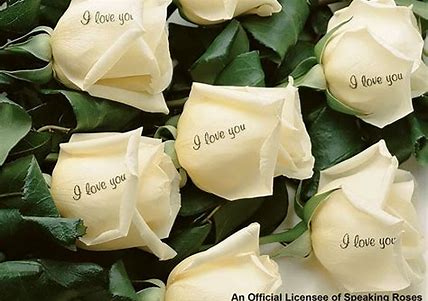 Speaking Roses