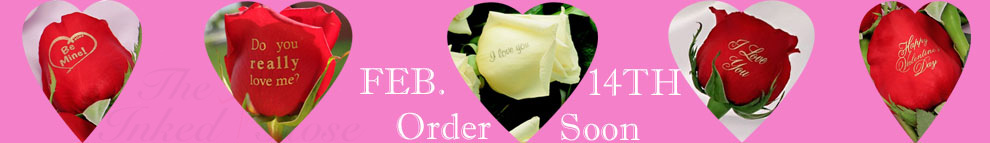 Speaking Roses